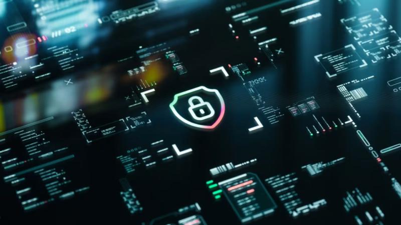 阿勒泰软件开发公司